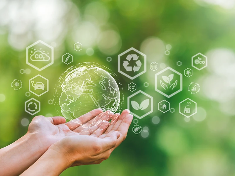 Graphical visualisation of all components of the topic of sustainability.