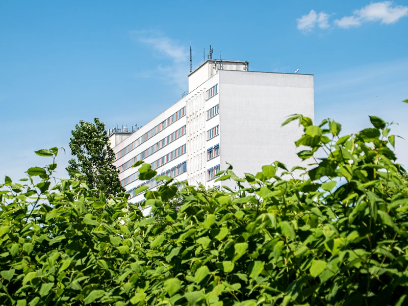 domeba headquarter
